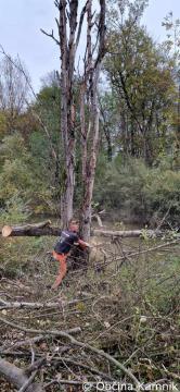 Izboljšanje poplavne varnosti ob Kamniški Bistrici (1)